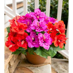 HyeFlora Artificial Flowers for Outdoors Faux Hibiscus Summer Outdoor Decor, 4 Bundles Fake Tropical Plants UV Resistant Realistic Silk Flowers for Outside Planters Porch Patio Garden Yard Window