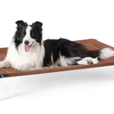 Bedsure Raised Dog Bed Medium - Elevated Waterproof Dog Bed 105 x 65 x 20 cm (L x W x H)