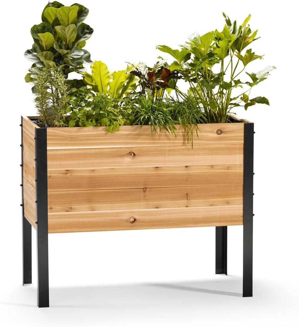EARTH ELEVATED 100% Canadian Cedar Wood Elevated Garden Bed for Gardening - Planter Pot to Grow Herbs Flowers, and Vegetables at Home Indoor and Outdoor Patio Balcony Deck - 18” x 36” x 30”, Medium