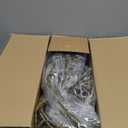 190cm/74.8inch Artificial Creepy Flexible Tree Branches Faux Grape Vines Garland Twigs with Moss Wood Craft for Halloween Door Wall Hanging Haunted Mansion Theme Outdoor Mantel Yules Decoration (2)