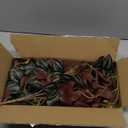 2Pack Reptile Fake Plants for Terrarium, Amphibian Habitat Decor Artificial Hanging Plants with Suction Cup, Artificial Leaves for Snake Tank Accessories.-Zebrina Purple