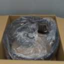 HOONEX Rattan Chandelier, Rattan Light Fixtures Ceiling, 14" Wicker Pendant Light for Dining Room Bedroom Kitchen Island, Black