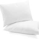 HomeLifairy Throw Pillows Insert Rectangle Bed and Couch Pillows - Indoor Sofa Decorative Pillows (2 Pack, 36" x 20")