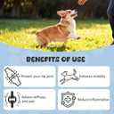Joint Chews for Dogs, Rich in glucosamine, chondroitin, Omega-3, and Other Elements, a Hip Joint Supplement to Protect Your Dog's Joint Health, Chicken Flavor, 30 Soft Chewables.