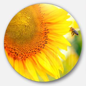 Designart Beautiful Sunflowers Blooming Animal Round Print Wall Art-Disc of 23, 23X23-Disc of 23 inch, Yellow