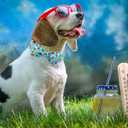 Summer Dog Collar with Bow Tie, Cotton Cute Bowtie Collar, Comfortable Blue Collar with Metal Buckle, M