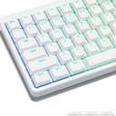 Womier Keycaps, Low Profile Keycaps, Shine Through Custom PBT Keyboard Key caps for 60% 65% 75% 80% 100% Cherry Gateron MX Switches Mechanical Keyboard, White Backlight (White)