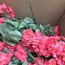 Artificial Geranium Fake Flowers for Outdoors Decoration, 6 Bundles Silk Geraniums Flower UV Resistant Look Real Faux Plants for Outside Planter Front Door Garden Patio Balcony Yard Home, Hot Pink