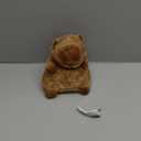 Aikertec Adorable Capybara Plush Toy - 7.8 Inch Interactive Stuffed Animal That Repeats What You Say, Soft Toy for Kids, Perfect Children's Birthday Gift