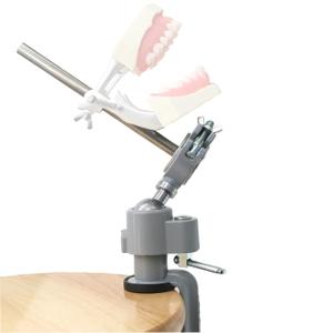 Typodont Teeth Model Teeth Model Training Mount Fixed on Desk Training Manikin Dental Schools Education Practical Typodont 360 Motion (A-Training Mount Fixed)