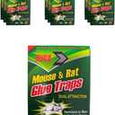 Ruva Mouse Glue Traps Indoor for Home – XXL 12.4” x 12.4” Large Sticky Traps for Mice, Rats & Snakes – Heavy Duty Rat Traps Indoor & Outdoor – Pest Control Glue Boards for Rodents & Insects – 10 Count