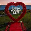 Will You Marry Me? Neon Sign -Size:23inch- Custom Large Wedding LED Neon Light Home Wall Decor Wedding Engagement Party Backdrop Decoration Personalized Gift for Her neon Art-Cool White