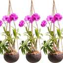 Set of 3 Hanging Orchid Pots for Small Orchids, Handmade Coconut Planters, Orchid Pots with Holes, Coconut Planters, Orchid Gifts