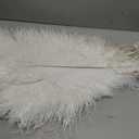 XunYee 60 Pcs Large Natural Ostrich Feathers Plumes Bulk for Centerpiece 18-20 Inch (45-50 Cm) Feathers for DIY Crafts Christmas Wedding Masquerade Party Decorations(White)