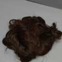 Topcosplay Brown Wigs for Men Short Curly Fluffy Cosplay Halloween Character Costume Wig Layered