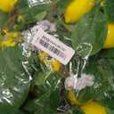 2 Pcs Artificial Lemon Flower Garland Vine, 14 Ft Fake Yellow Lemon Vines Silk Flowers Hanging Floral Garlands Decoration for Room Wall, Flower Themed Party, Wedding Supplies