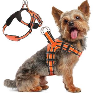 Dog Harness for Small Dogs Back D-Ring Control No Choking Pressure-Free Chest Design Comfortable Padded Adjustable Reflective Vest Harness for Daily Walks Training Easy Control Outdoor Use Secure Fit (Orange)