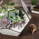 Fairy Garden Accessories 10-Pack Miniature Table and Chairs Set, Mini Fairy Garden Resin Ornaments, Outdoor Decor for Miniature Dollhouse & Micro Landscape DIY