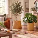 2 Pcs Fall Woven Basket Planter, Plastic Wicker Pot Porch Decor