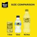 2 x Minute Maid Lemonade PET, 12 fl oz, 6 Pack (BBD 08/17/26)