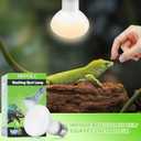 LUCKY HERP 2 Pack Reptile Heat Lamp Bulbs 75W (2nd Gen), Basking Light Bulb for Reptiles & Amphibians, Simulated Natural Sunlight Terrarium Heat Lamps for Bearded Dragon, Lizard, Turtle, Tortoise