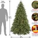 National Tree Company 6.5 ft Pre-Lit Jersey Fraser Fir Artificial Christmas Tree, 800 Clear Lights, 2,224 Tips, Includes Stand, Green