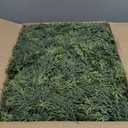 9 FT Christmas Garland, Cedar Garland - Realistic Artificial Christmas Garlands for Indoor and Outdoor Decor,Fireplace,Mantle,Doorway,Wreath-Green Faux Pine Garland for Christmas Decorations (2, 9 FT)