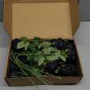 Thiccywoov 30 Pcs Rose Artificial Flowers in Bulk Real Touch Long Stem Silk Roses Bouquets Realistic Faux Flowers for Wedding Bridal Shower Home Decor Floral Arrangements Table Centerpiece(Black)