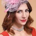 Cizoe Fascinator Hats for Women Tea Party Headband Kentucky Derby Wedding Flower Mesh Veil Fascinator (Pink)