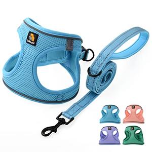 BELLA & PAL Step in Vest Harness for Small and Medium Dogs, No Pull Small Dog Harness with Leash Set, Comfortable Air Mesh Dog Vest Harness with Reflective Strip (Sky Blue, M)