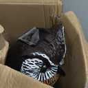 Ruolan Plastic Owl,Brid Owl with Flashing Eyes&Frightening Sound for Garden Yard Outdoor