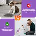 Jollywoods 3 Pack Washable Female Dog Diaper Onesie Sanitary Pantie with Adjustable Suspender, Reusable Fixed Doggie Diapers, Super Absorbent Leakproof for Small Medium Large Dog in Heat Cycle XL