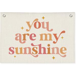 Girls Room Decor, Baby Girl Nursery Baby Shower Decor Gift, You are My Sunshine Linen Canvas Banner, Pink Boho Wall Hanging Banner Flag 20x30 Inch