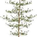 Artificial Black Olive Tree 7FT Indoor Outdoor Decor Faux Plants - Real Wood Trunk Fake Tree with Green UV Resistant Leaves - Tall Floor Plant for Modern Home Office Living Room Decoration