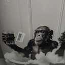 OIQArtOIQ Funny Bathroom Framed Wall Art Vintage Canvas Wall Art Prints Chimpanzee in Bathtub Pictures Wall Decor Modern Minimalist Humorous Artwork For Restroom, 16"x24" Canvas