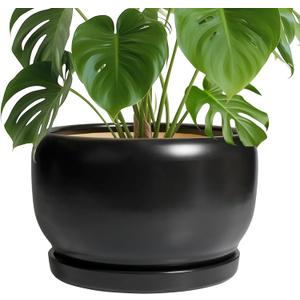 SQOWL Ceramic Flower Pot - 10 Inch Planter with Drainage Hole and Saucer, Modern Large Plant Pot Indoor Outdoor, Decorative Round Planter, Bedroom Decor, Gifts for Plant Lovers, Black