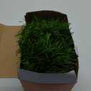 WATERGLIDE 49FT Lighted Christmas Green Garland with 100 Count Multicolor String Lights, Pre-lit Long Artificial Greenery Garlands, Plug in Holiday Decorative Lights for Indoor Outdoor Decor