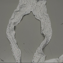 Laser Sparkly Plus Size Fishnets Sparkle Fishnets Rhinestone Fishnet Stockings for Women (2XL-4XL White)