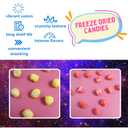 Freeze Dried Sour Candies, Lemon Blasts and Fruit Bursts, Dehydrated Fruity Flavored Candy, Share Sized, Resealable Bags (Pack of 2)