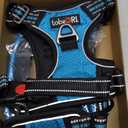 No Pull Dog Harness Adjustable Reflective Oxford Easy Control Medium Dog Harness with A Free Heavy Duty 5ft Dog Leash