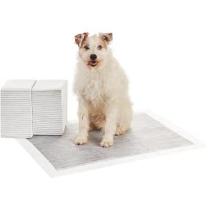 Amazon Basics Carbon Odor-Control Dog and Puppy Pee Pads, 5-Layer Leak-Proof Super Absorbent, Quick-Dry Surface, Potty Training, X-Large (28x34"), 50 Count, Gray