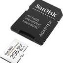 SANDISK 256GB High Endurance Video microSDXC Card with Adapter for dash cam and home monitoring systems  C10, U3, V30, 4K UHD, Micro SD Card  SDSQQNR256GGN6IA