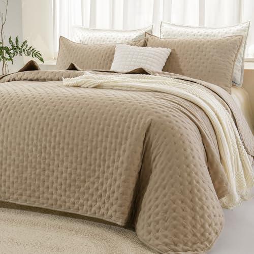 Andency Beige Queen Size Quilt Bedding Set (90x96 Inch), 3 Pieces Soft Lightweight Bedspread Coverlet, Boho Summer Quilt Queen Size for All Season