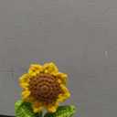 Thank You Gifts-Never Forget The Difference That You Make-Sunflower Gifts-Retirement Gift for Woman Social Worker Employee Appreciation Gifts Inspirational Gifts for Women Men Boss Friend Coworkers