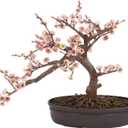 Nearly Natural Cherry Blossom Bonsai Silk Tree, Pink
