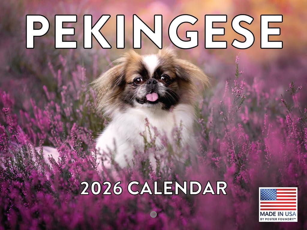 Pekingese Calendar 2026 Wall 12 Month Monthly Pekingeses Gifts For Pekingese Lovers Women Men Mom Dad | American Made In The USA