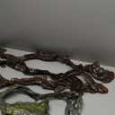 AMOR PRESENT 5PCS Inflatable Fake Snakes, 39 inch Blow Up Pool Snake Floats Animals for Reptile Jungle Party Decorations Prank