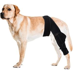 Duomaiyoyo Professional Dog Knee Brace for Torn ACL, CCL Injury & Arthritis Relief - Adjustable Neoprene Support with Stabilizers for Small Dogs 22-35KG (M)
