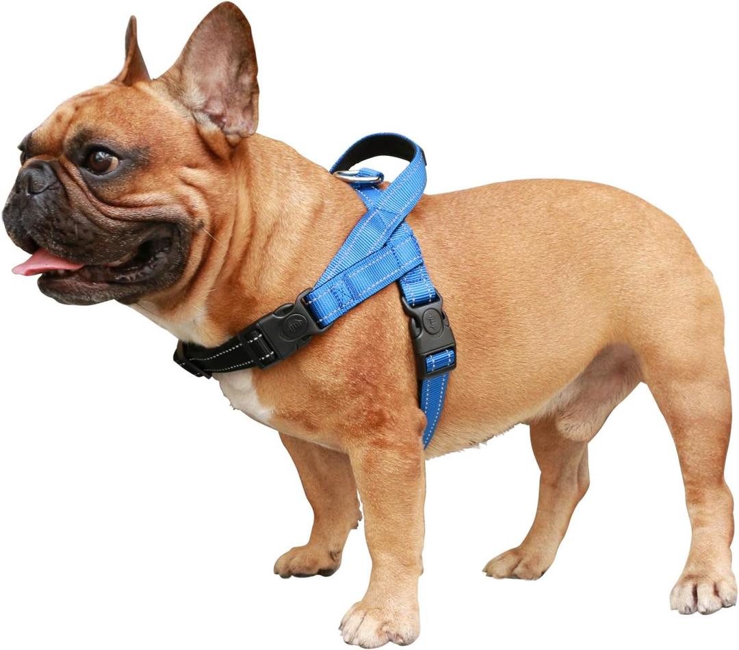 iChoue French Bulldog Harness Adjustable Padded Locked Buckle with Handle for Frenchie Pug English Boston Terrier Dogs, Blue, Small