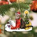 3 x American Shorthaired Technically Cat Ornament, Acrylic Christmas Tree Hanging, 2023 Funny Cat Lover Xmas Decoration